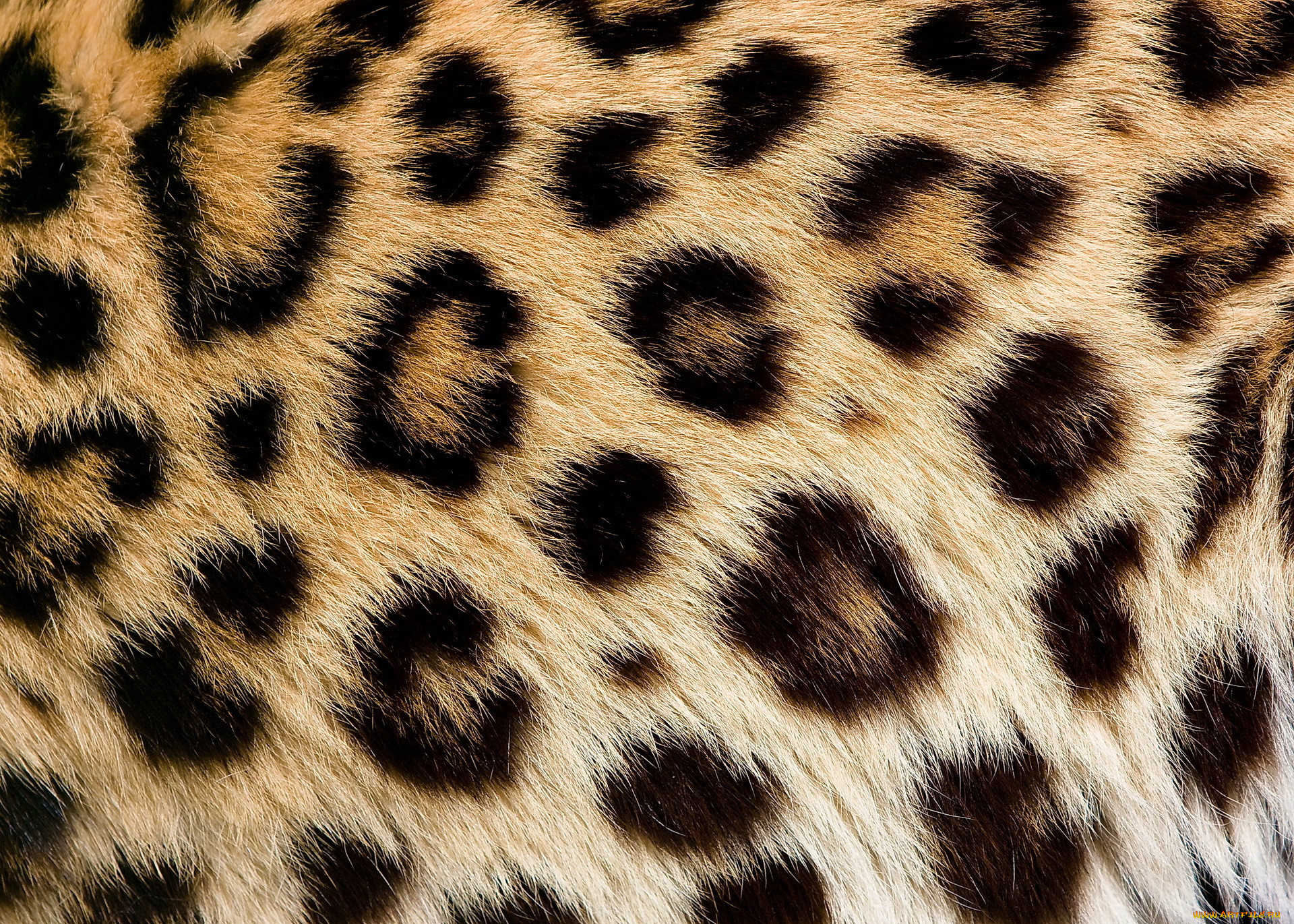 , , , , , , 